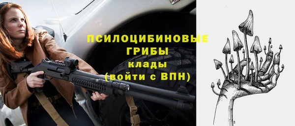 прущие крисы Армянск