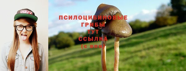 прущие крисы Армянск