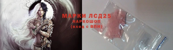 прущие грибы Арсеньев