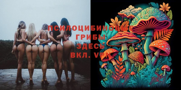 прущие крисы Армянск