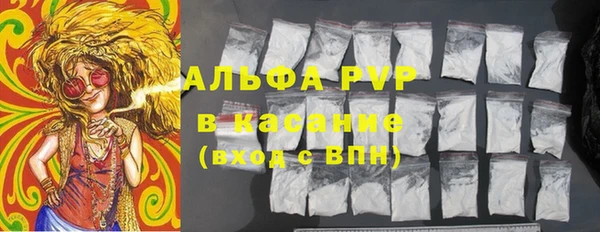 прущие грибы Арсеньев
