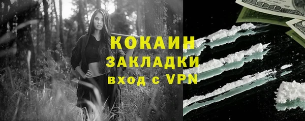 твердый Аркадак